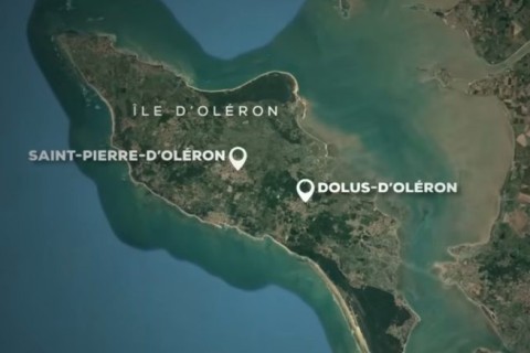 Um automobilista atropela intencionalmente peões e ciclistas na ilha de Oléron, causando vários feridos graves.